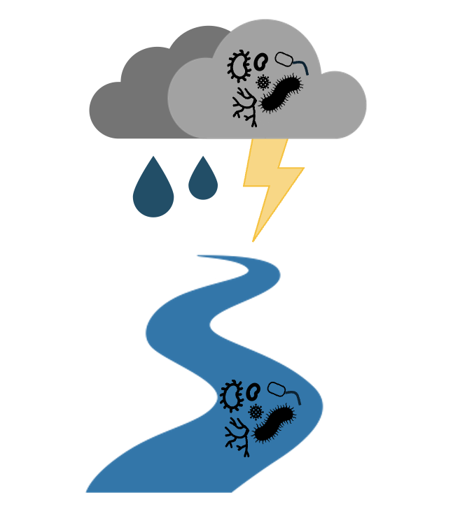STREAMS Microbiome Guidelines